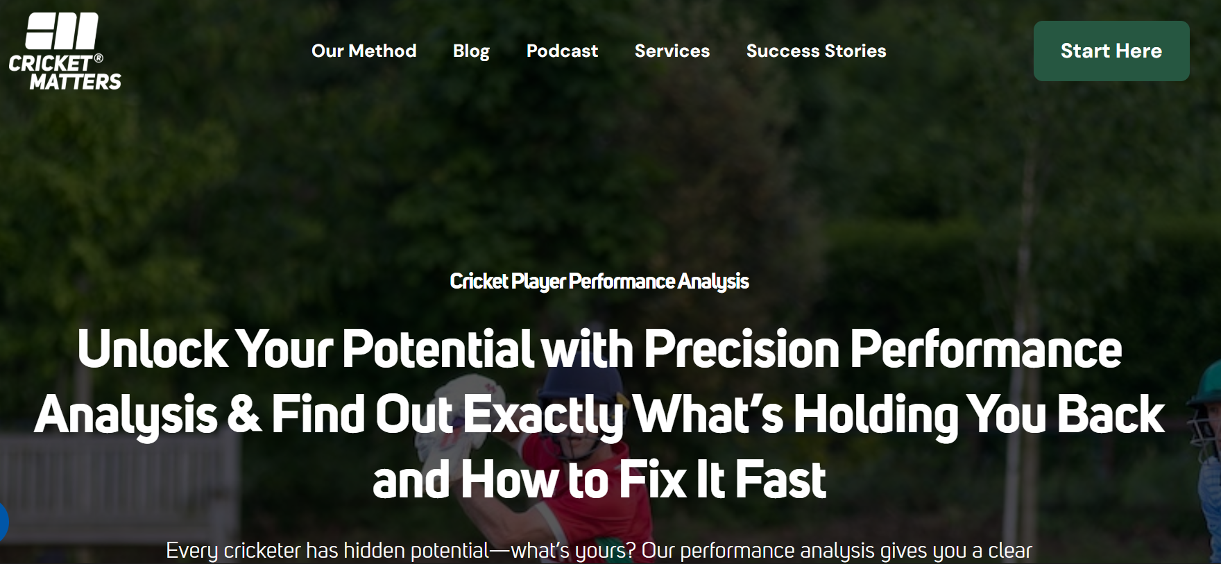 Player Performance Analyzer